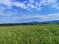 15 PHOTO 2024 06 01 17 38 30