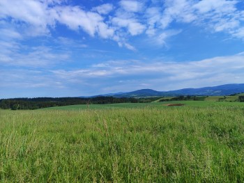 15 PHOTO 2024 06 01 17 38 30